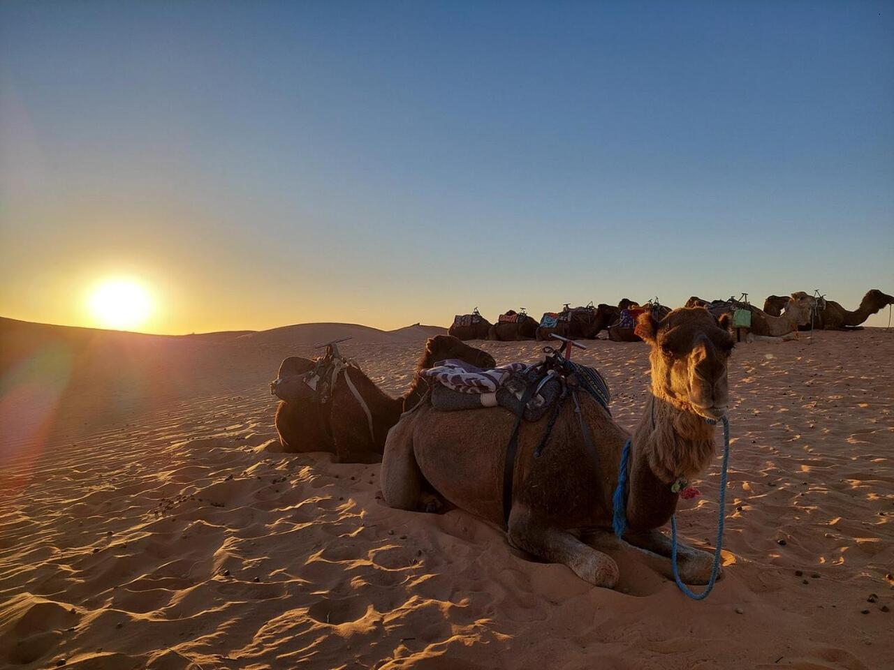 Desert Experience Glamping Merzouga Esterno foto